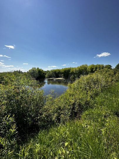 Дом 50,3 м² на участке 14,8 сот.