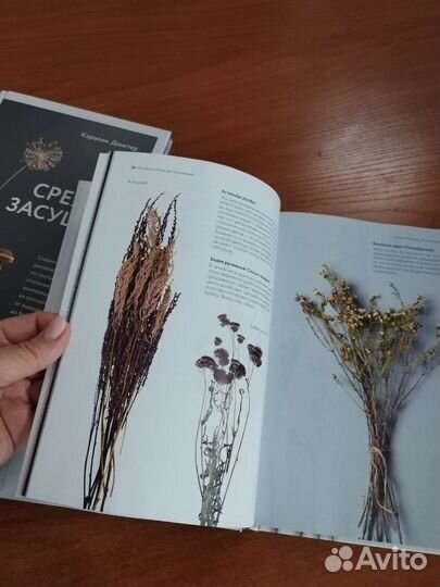 Книга о сухоцветах 