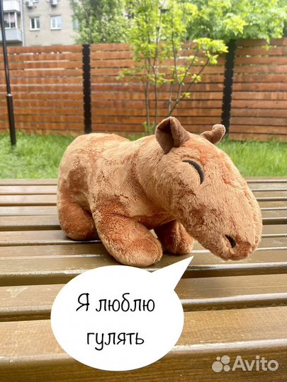 Чудесная капибара