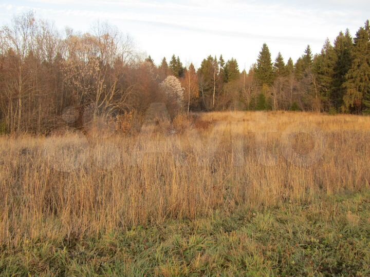 Участок 15 сот. (ИЖС)