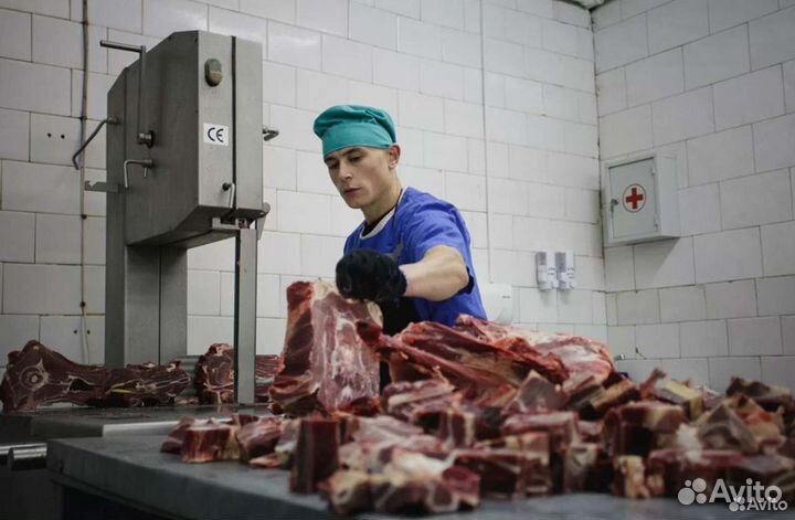 Готовый бизнес ищет займ, доход 28757