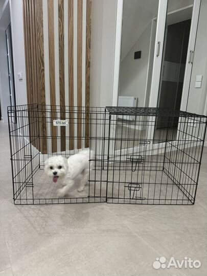 Вольер для собак Штефан