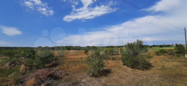 Участок 10 сот. (СНТ, ДНП)