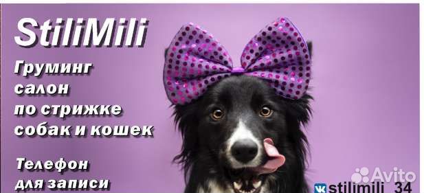 Груминг (стрижка) собак и кошек
