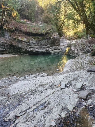 Участок 4,7 сот. (СНТ, ДНП)