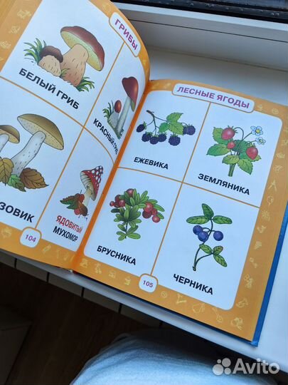 Книга Первый учебник малыша