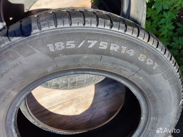GT Radial Champiro VP1 185/75 R14