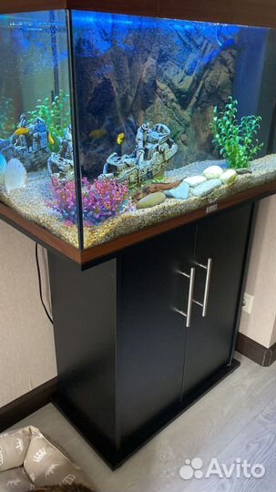 Аквариум juwel 120 л. С тумбой