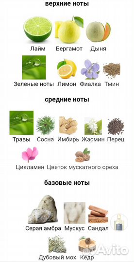 Мужской парфюм