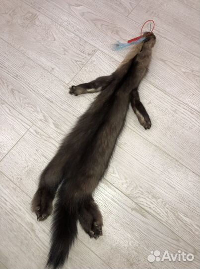 Шкурки соболя