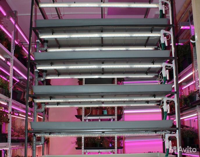 Гидропонная установка для микрозелени