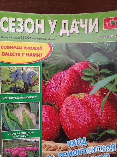 Журнал