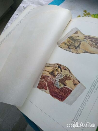 Энциклопедический словарь военной медицины