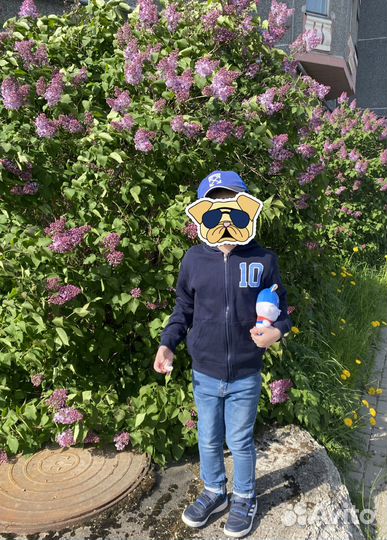 Джинсы,Лонги,толстовки Modis,Gloria djeans116