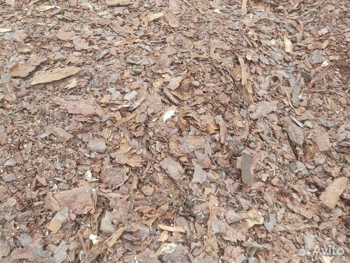 Мульча кора
