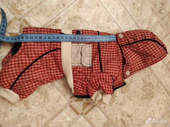 Одежда для собак мелких пород