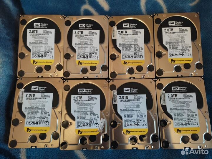 Western Digital 2 тб WD2003fyys