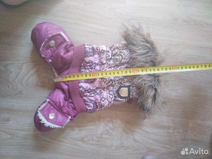 Одежда для собак