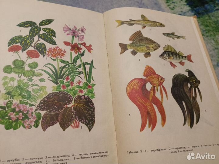 Книги для воспитателей