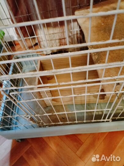 Клетка для грызунов большая на колёсах