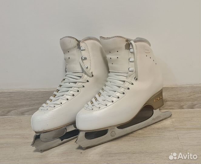 Фигурные коньки edea chorus 245
