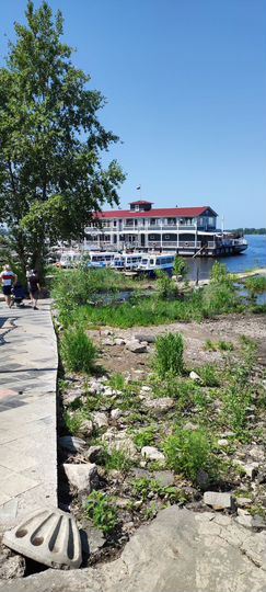 Участок 20 сот. (ИЖС)