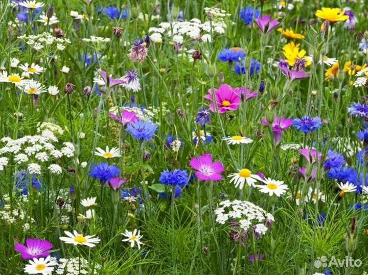 Чайный Кофейный сервиз набор СССР