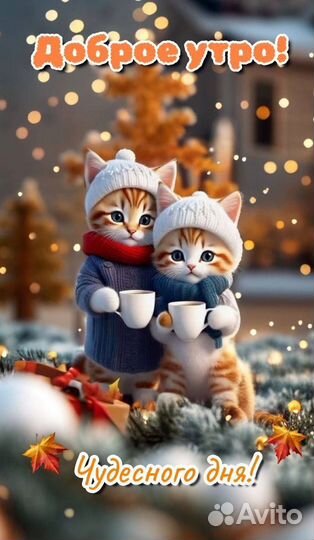 Гуси породы линда