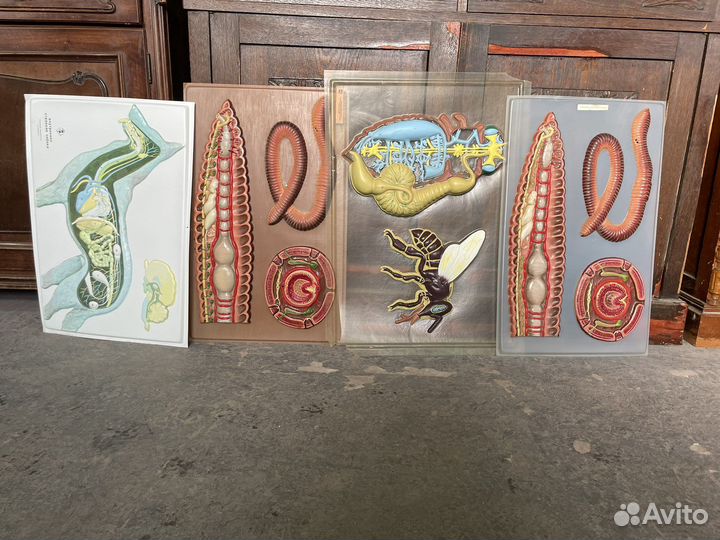 Учебные пособия по биологии СССР