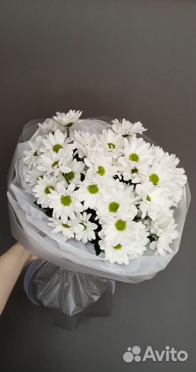 Ромашки цветы букеты