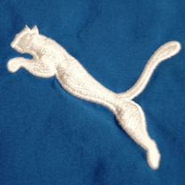 Puma мужская спортивная форма Italy