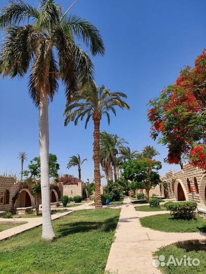 Подбор туров, путешествий. (независимый эксперт)