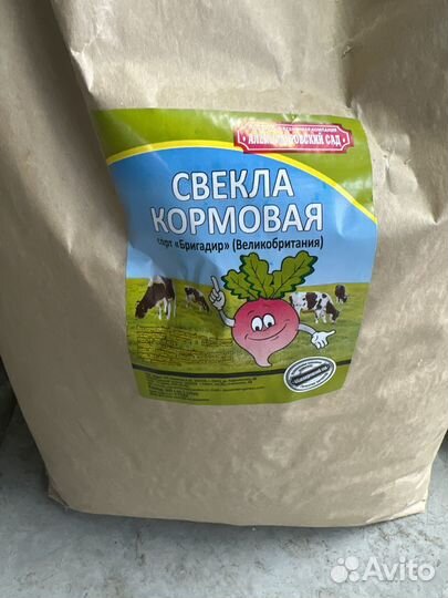 Свекла кормовая