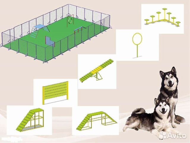 Снаряды для тренировки собак