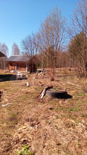 Дом 37 м² на участке 30 сот.