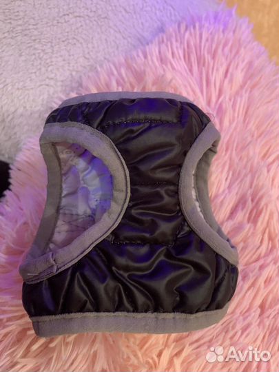 Жилетка для собак