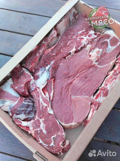 Мясо говядина