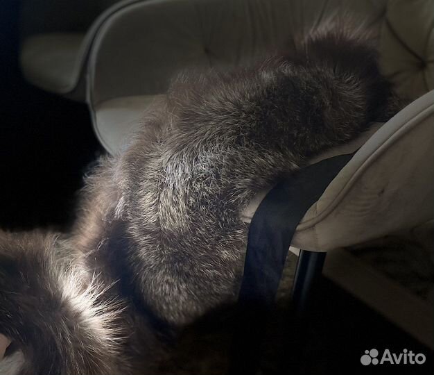 Меховой воротник