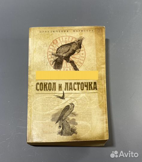 Книга Чхартишвили