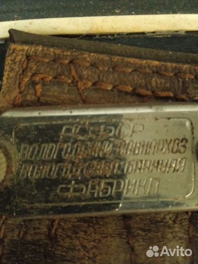 Баян Вологодский