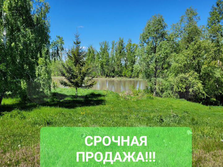 Участок 40 сот. (ИЖС)