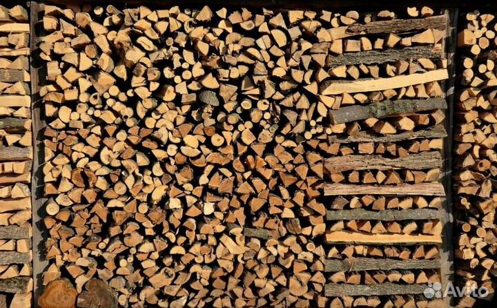Дрова образцовые