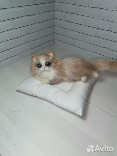 Котенок Персик