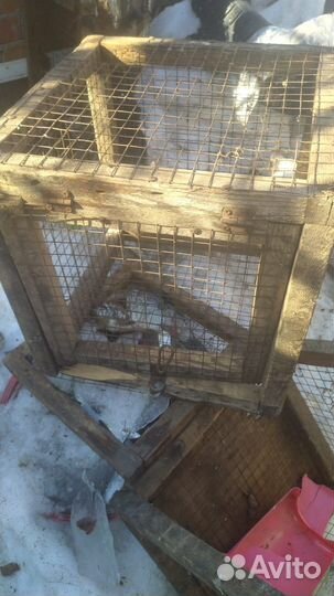 Клетки для кур кроликов