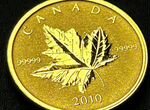 Золотая монета 10 долларов Канада
