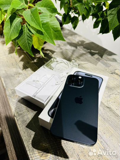 iPhone 15 Pro Max, 256 ГБ