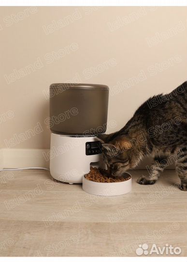 Автокормушка для кошек и собак