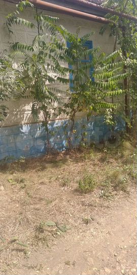 Дом 48,5 м² на участке 15 сот.