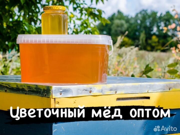 Мед оптом. Цветочный мёд