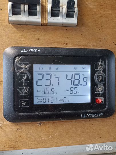 Инкубатор для яиц автоматический бу